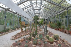 botanische tuin
