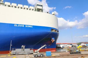 Glovis Sonic
