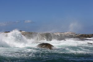 de ruwe zee bij Houtbaai
