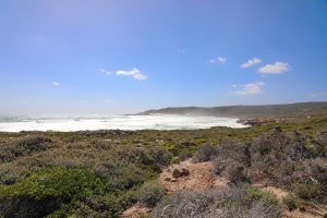 lanschap bij Cape of Good Hope