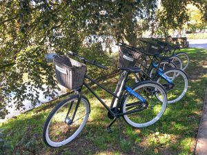 fietstocht in Zwolle