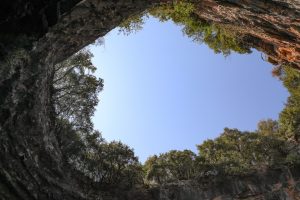 Dak van de Melissani grot