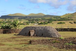 Puka Manu Mea