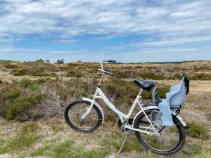 Veluwe in 12 uur