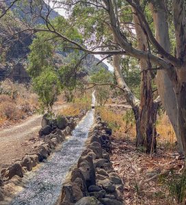 water in Barranco de Guayadeque
