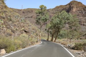 Barranco de Guayadeque