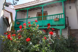 bloemen in Tejeda