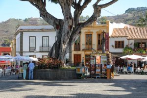 Teror