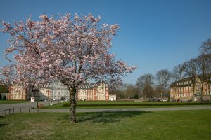 lentebloesem