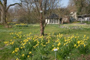 de botanische tuin van de universiteit