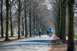 de Promenade