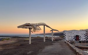 Het 19,5 meter lange skelet in Salinas del Carmen