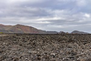 veranderend landschap