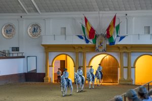 paardenshow