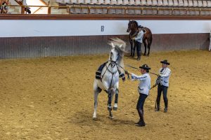 Real Escuela Andaluza del Arte Ecuestre