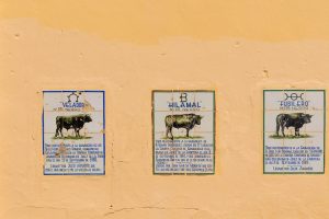 geen bezoek aan de stierenarena