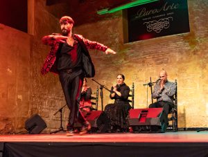 flamenco