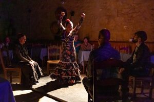 flamenco in Jerez de la Frontera