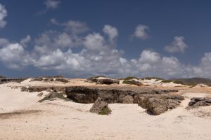 Boca Prins duinen