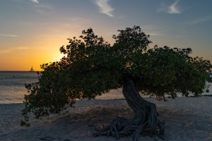 sunset op Eagle Beach