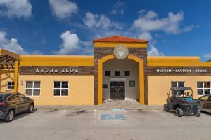 10:10 uur - bezoek aan Aruba Aloe
