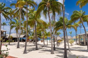 11:10 uur - Manchebo Beach