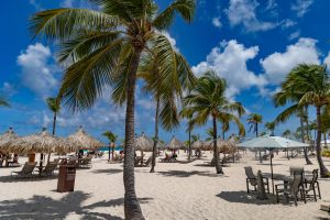 Aruba in 12 uur: de highlights van Aruba