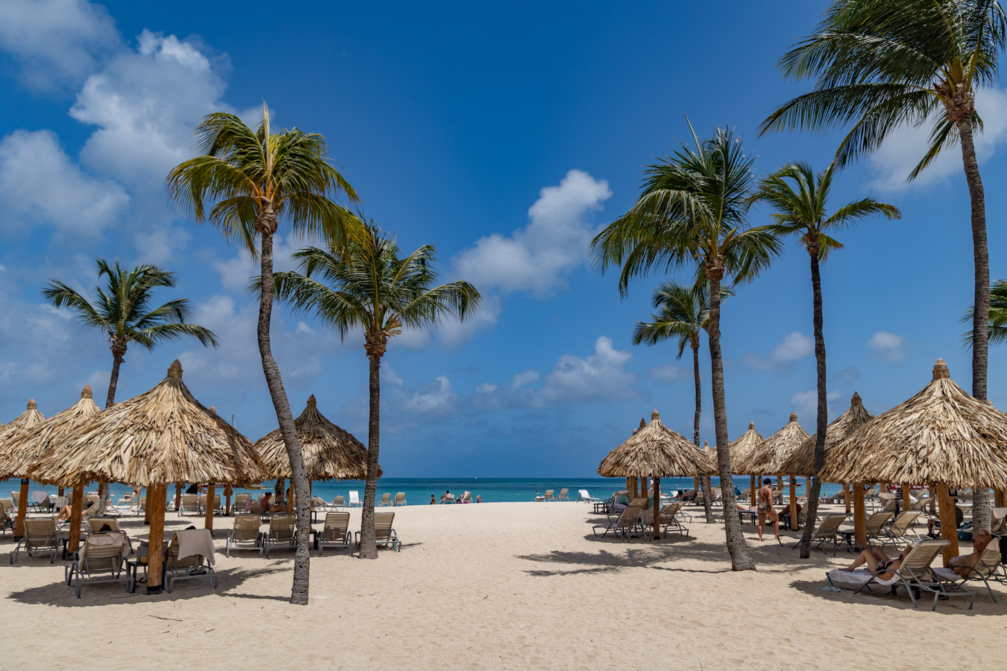 Aruba in 12 uur: de highlights van Aruba