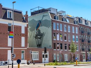 ijsvogel aan de Van Hallstraat