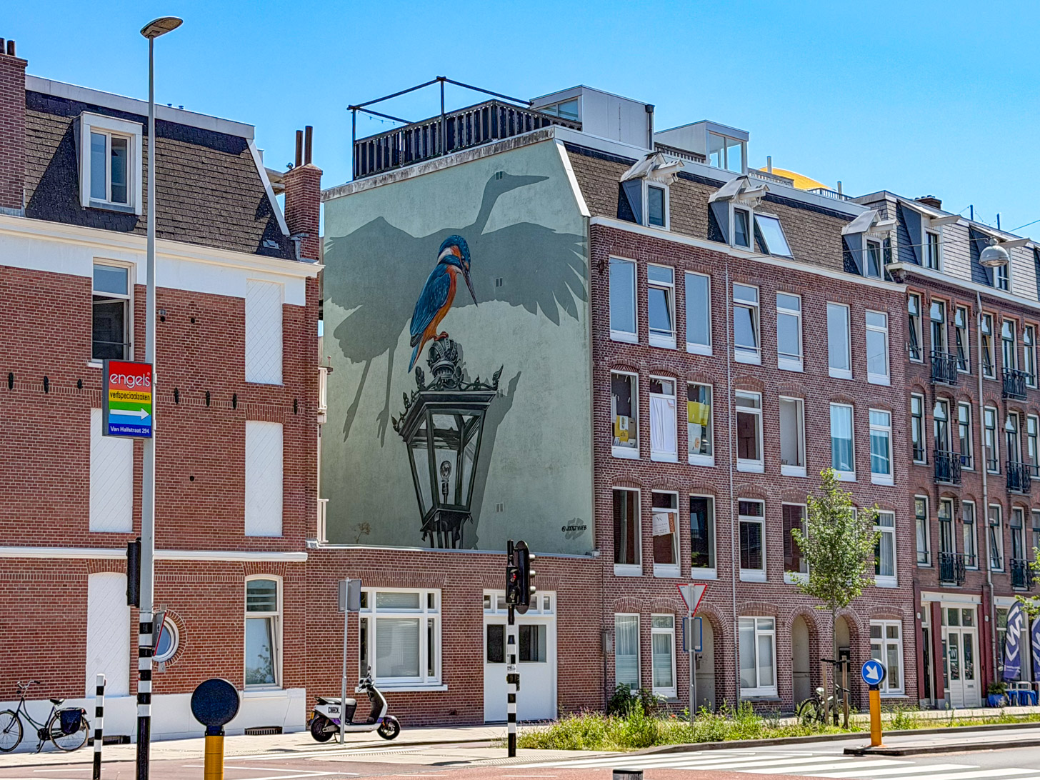 ijsvogel aan de Van Hallstraat