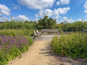 wandeling door het Spoorpark