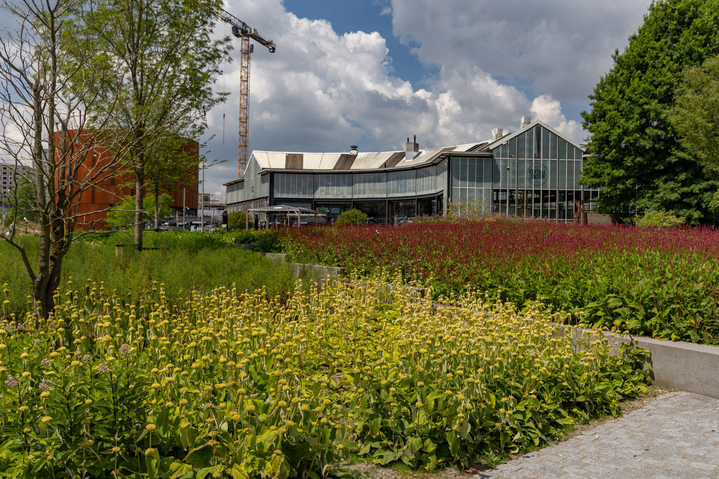 stadsvernieuwing