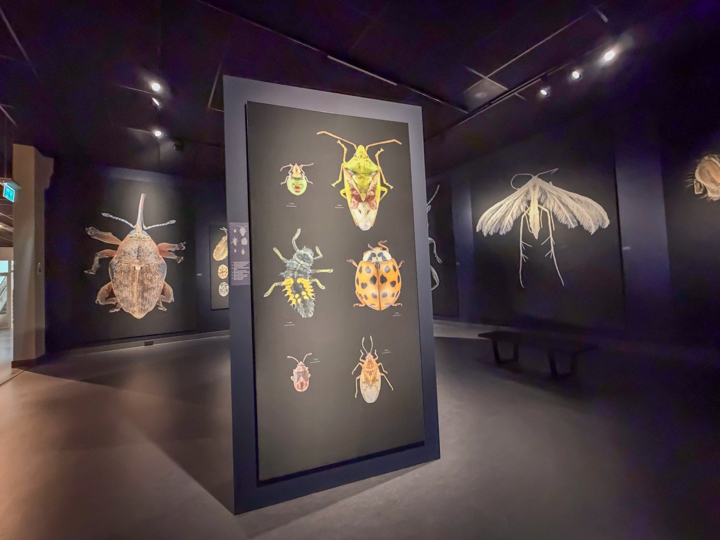 Natuurmuseum Brabant