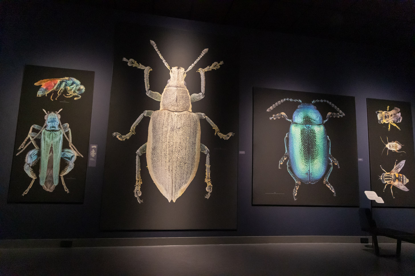 Natuurmuseum Brabant