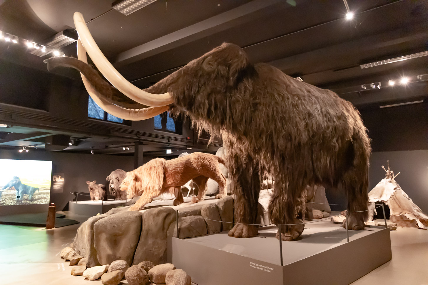 Natuurmuseum Brabant