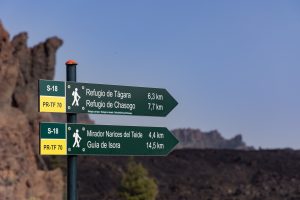 wandelen in Parque Nacional del Teide