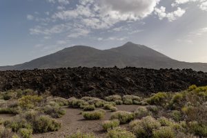 Tenerife in 12 uur